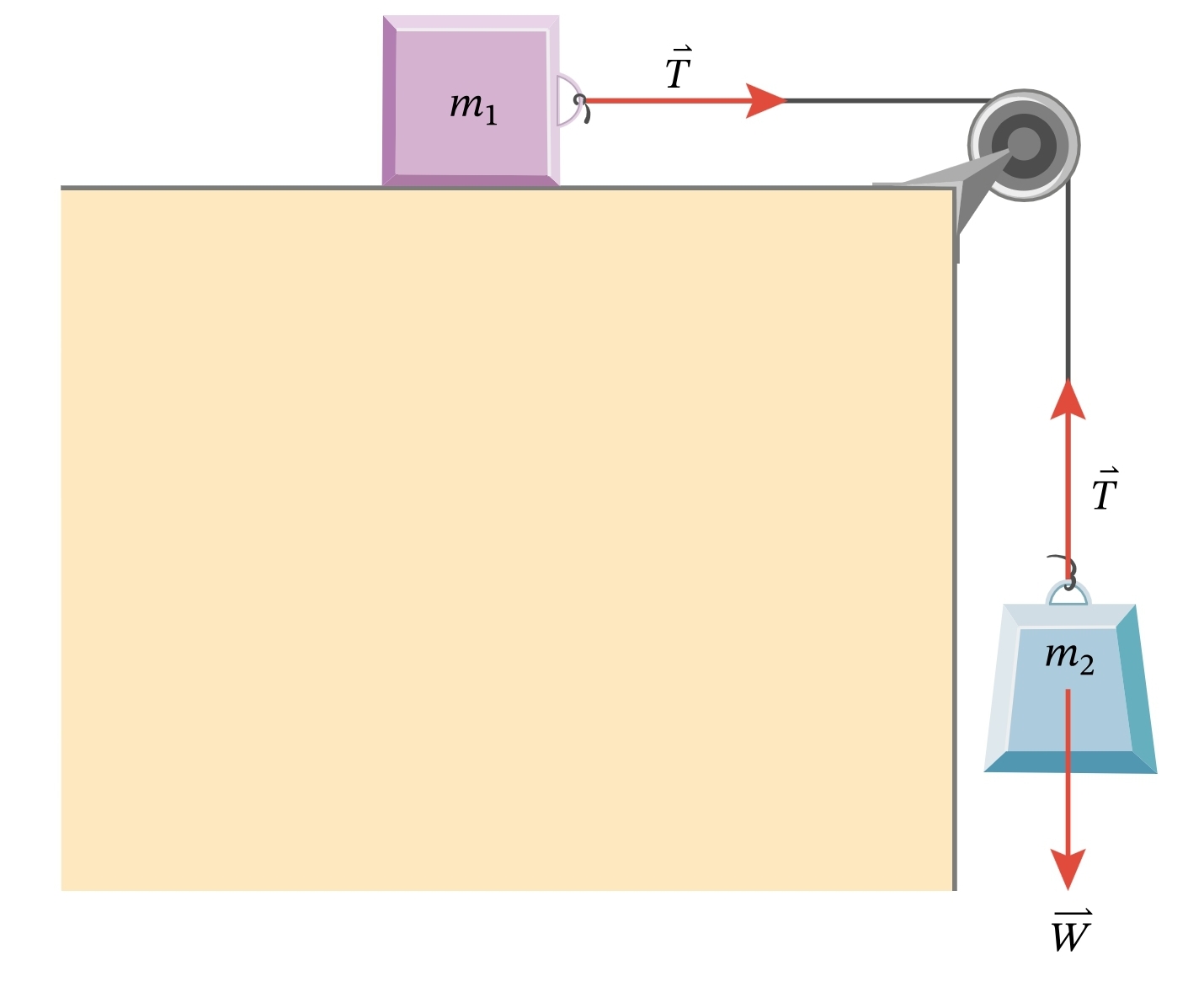 newtonian mechanics Internal forces in a pulley system standing still