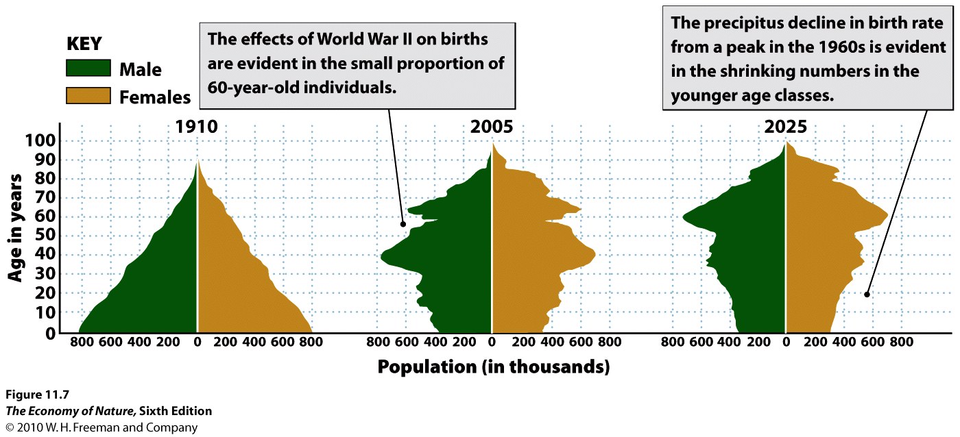 everyday life What was the age distribution in the Bronze Age? How do