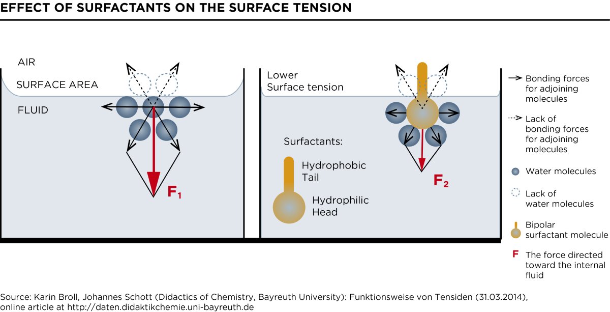 aqueous solution How can proteins reduce surface tension? Chemistry