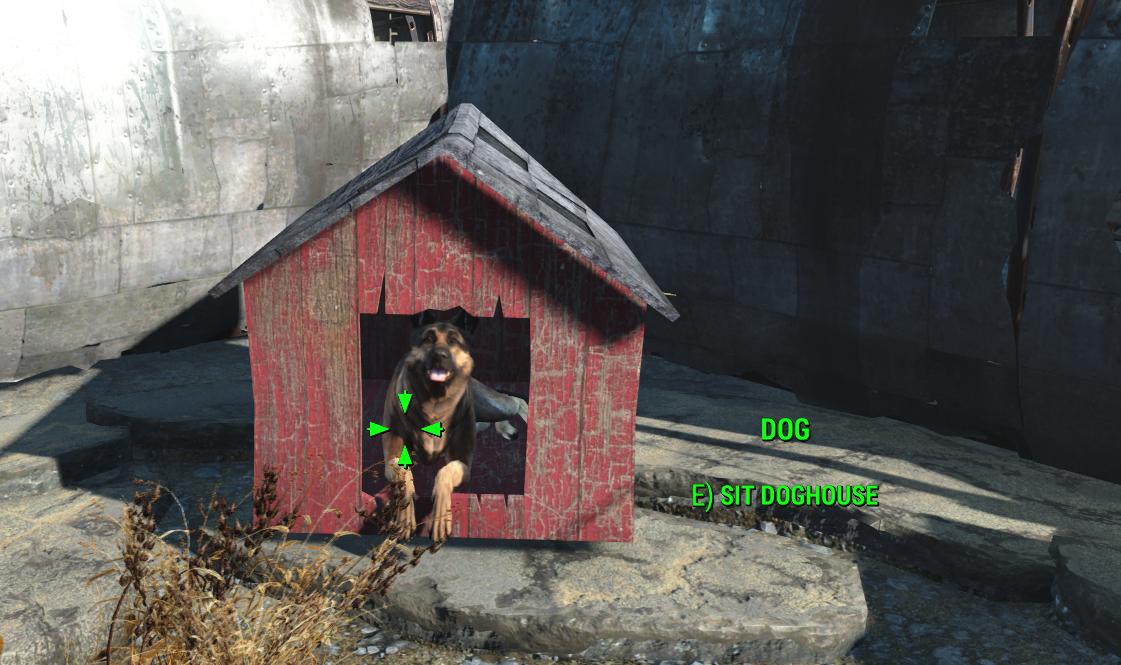 How can I stop Dogmeat from following me in Fallout 4