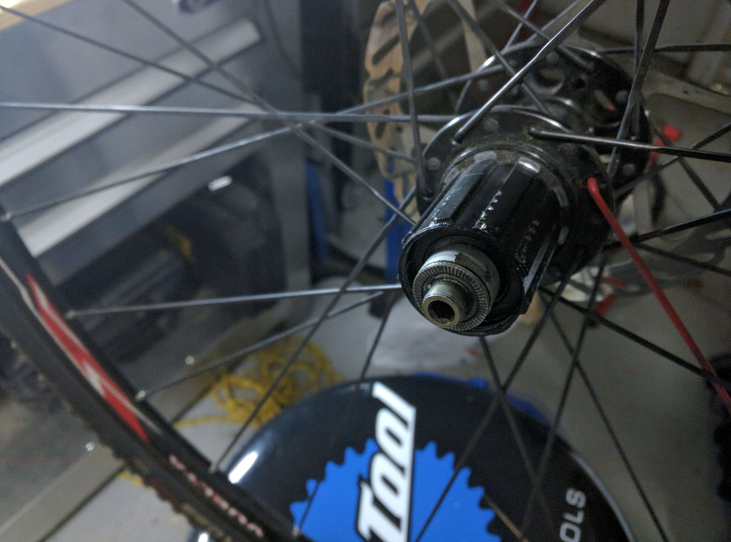 wheels Servicing a Vuelta XRP Disc Hub Bicycles Stack Exchange