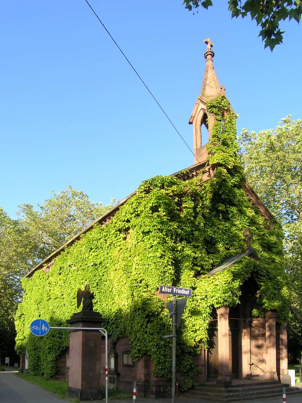 damage Is ivy bad for your walls? Home Improvement Stack Exchange