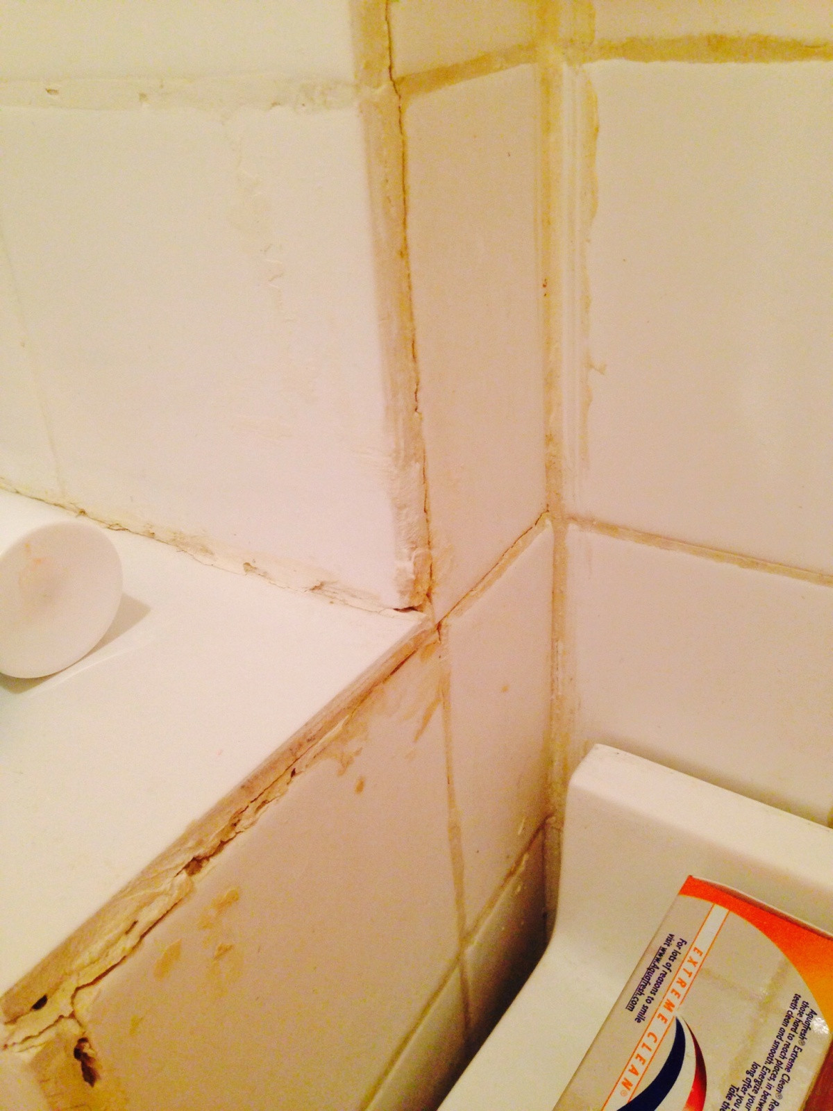repair Can I regrout if there is possibility of mold