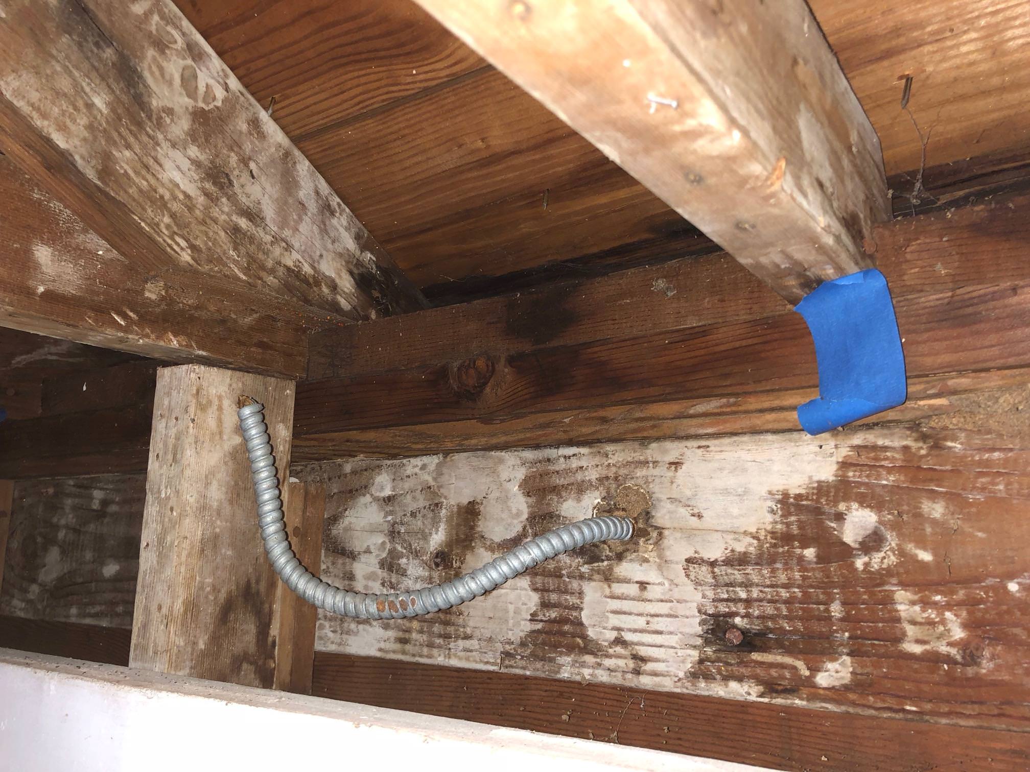 wood Is this mold? How to remove? Home Improvement Stack Exchange