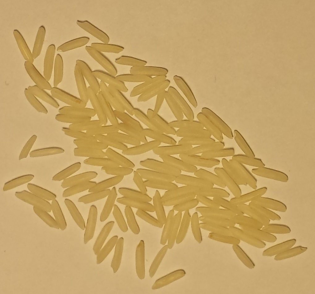 code challenge Counting Grains of Rice Programming Puzzles & Code