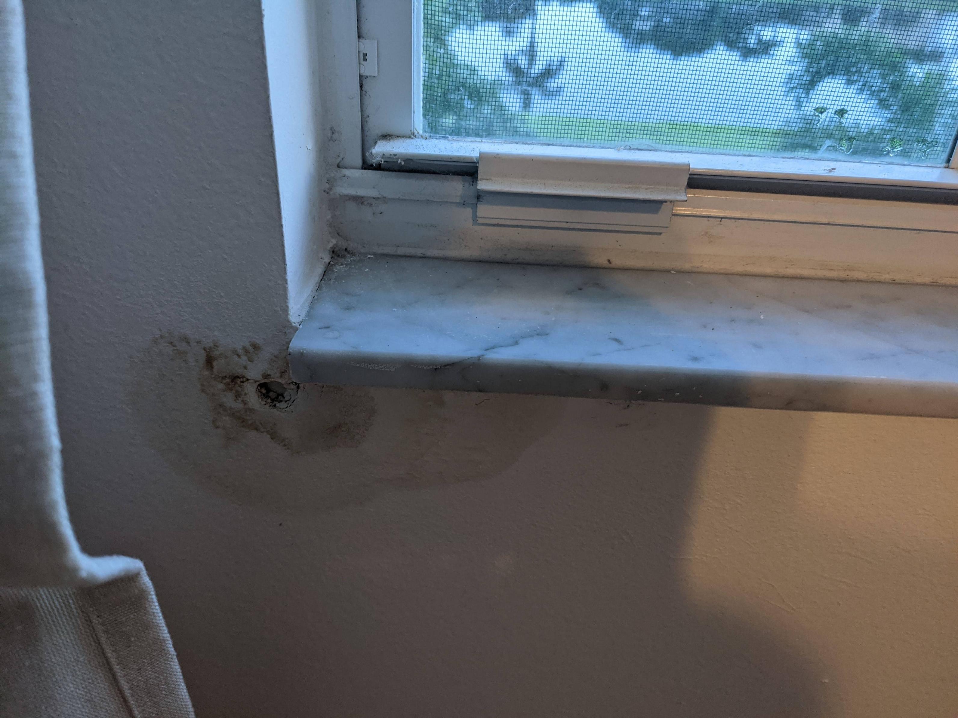 Leaky Windows caused drywall discoloration / damage how to approach