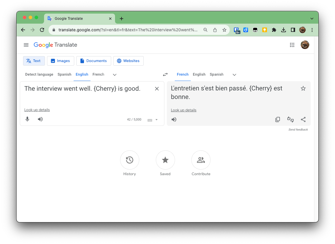 How can I format the input text on Google Translate so that the
