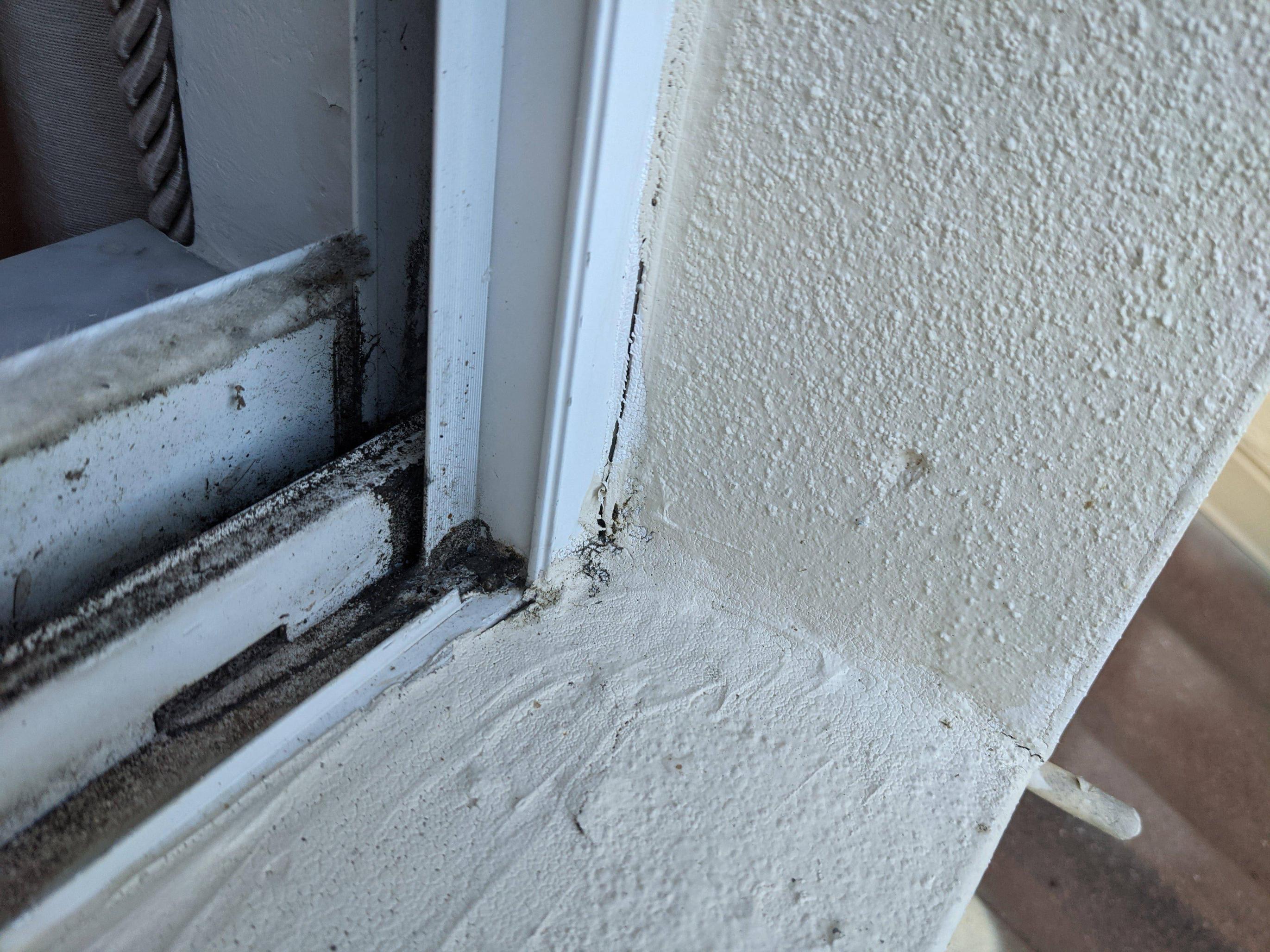 Leaky Windows caused drywall discoloration / damage how to approach