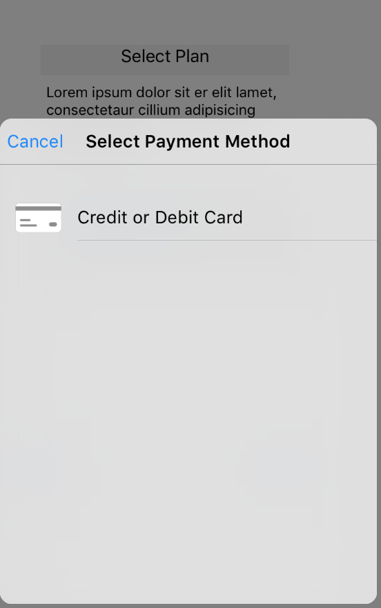 Braintree iOS V4 DropIn UI How to skip the select payment method