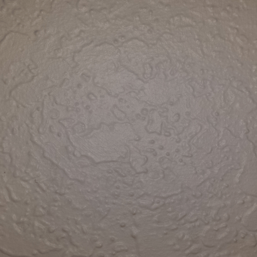 popularity contest Computer Generated Textured Wall Paint