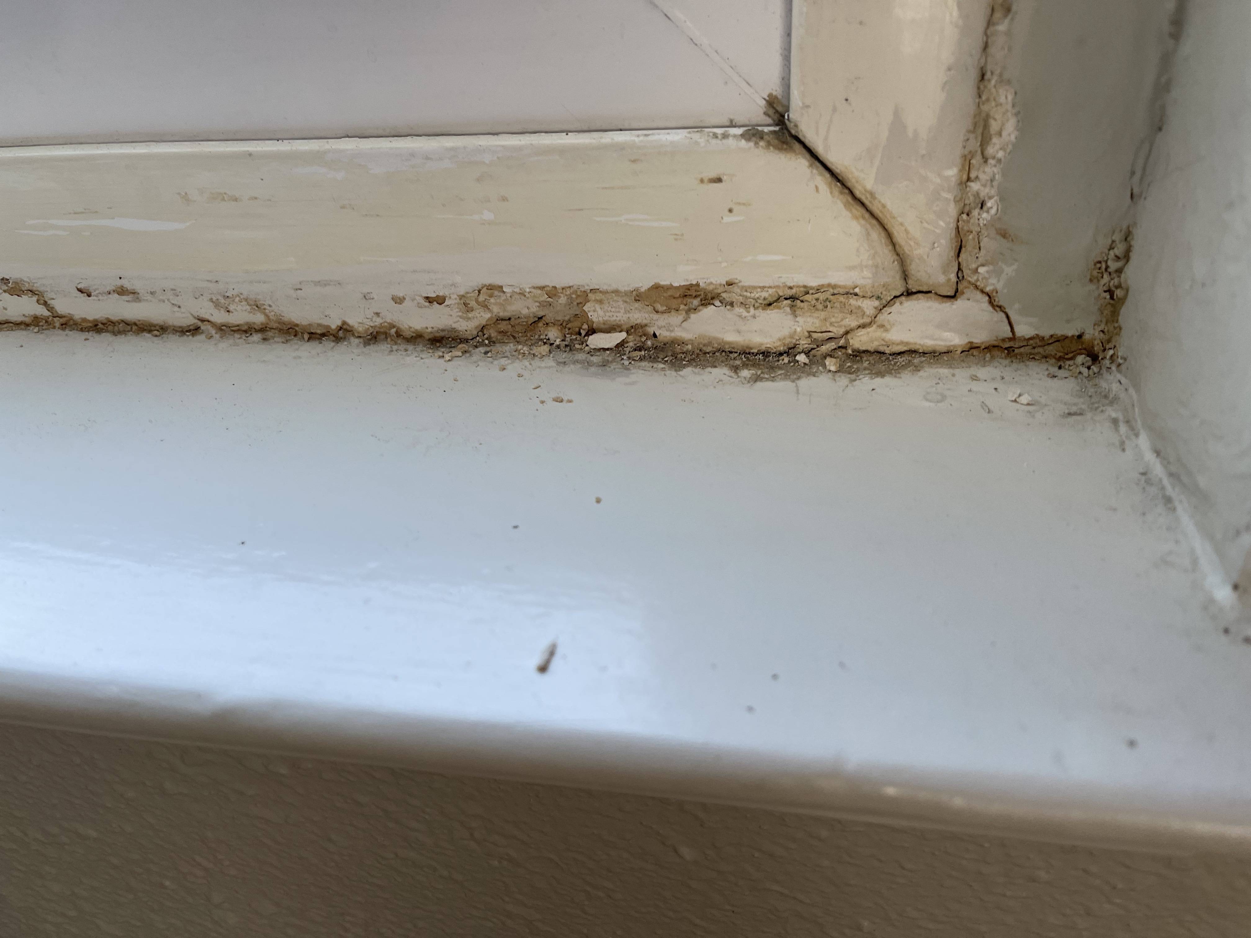 Window water damage Home Improvement Stack Exchange