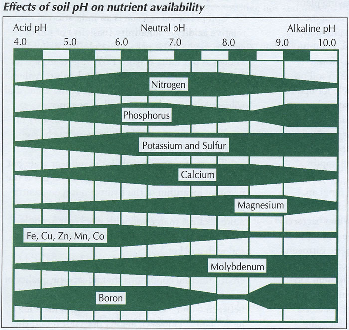 nutrients Can I ignore soil pH and just give blueberries chelated