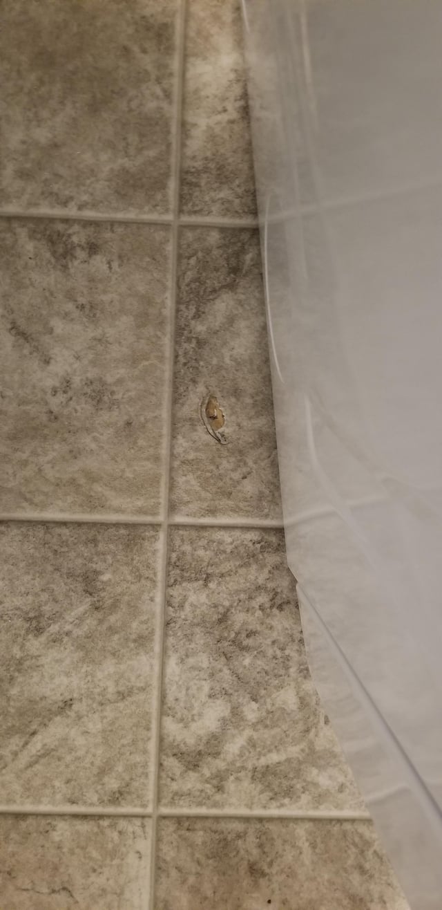 Best way to repair a small tear in vinyl flooring? Home Improvement