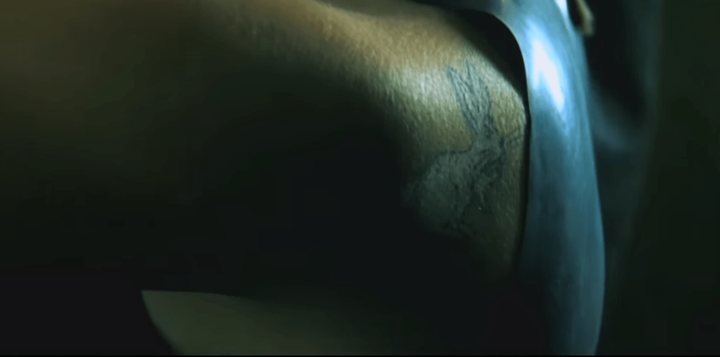 the matrix How did Trinity know that Neo would see a white rabbit (to