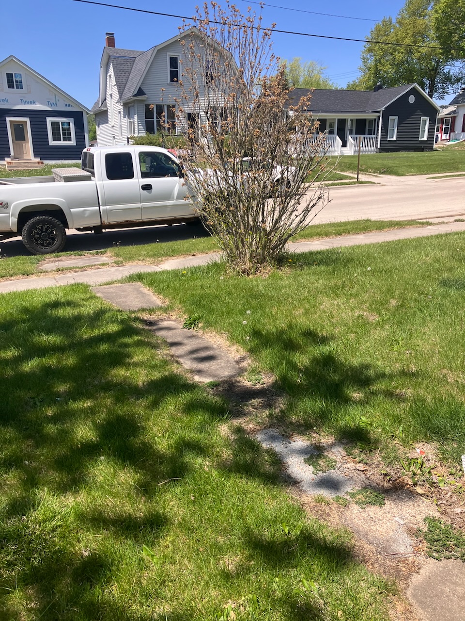 weeds Removing grass and dirt from walkways Gardening & Landscaping