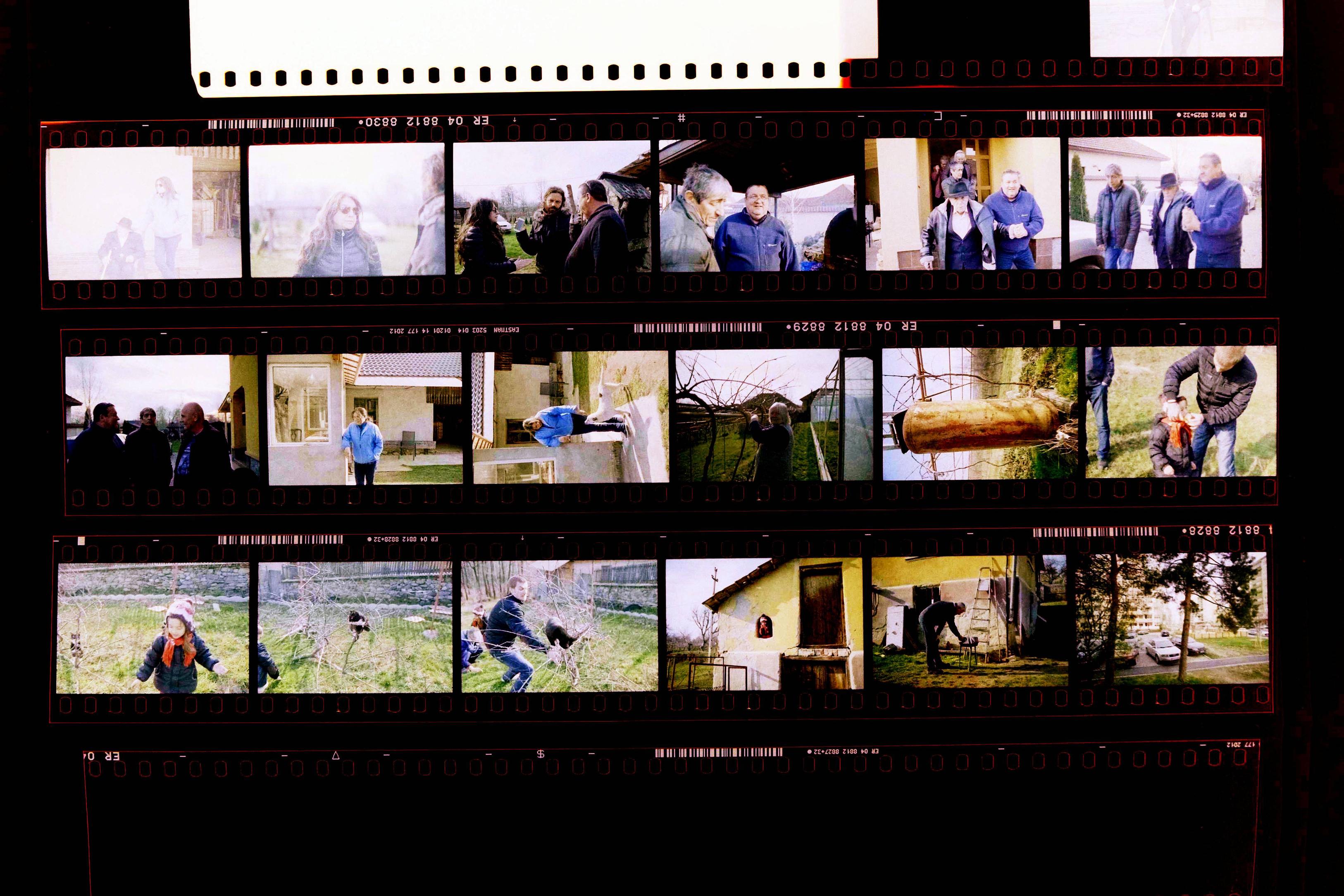 film Green Fog in Color Negative Scan Photography