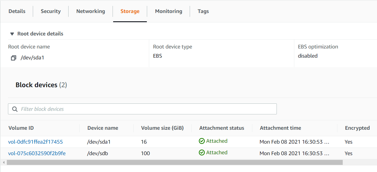 amazon web services Cannot found the AWS EC2 storage disks I created