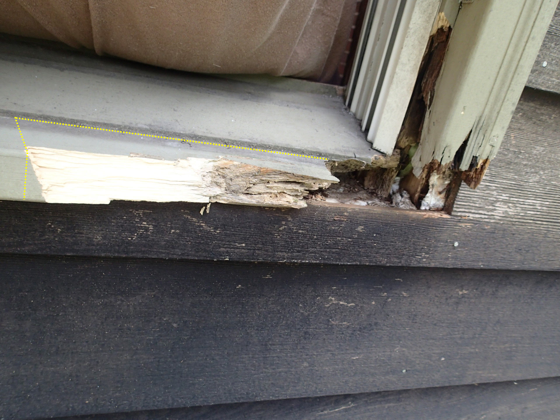 repair punky window destroyed by woodpecker minimally acceptable fix