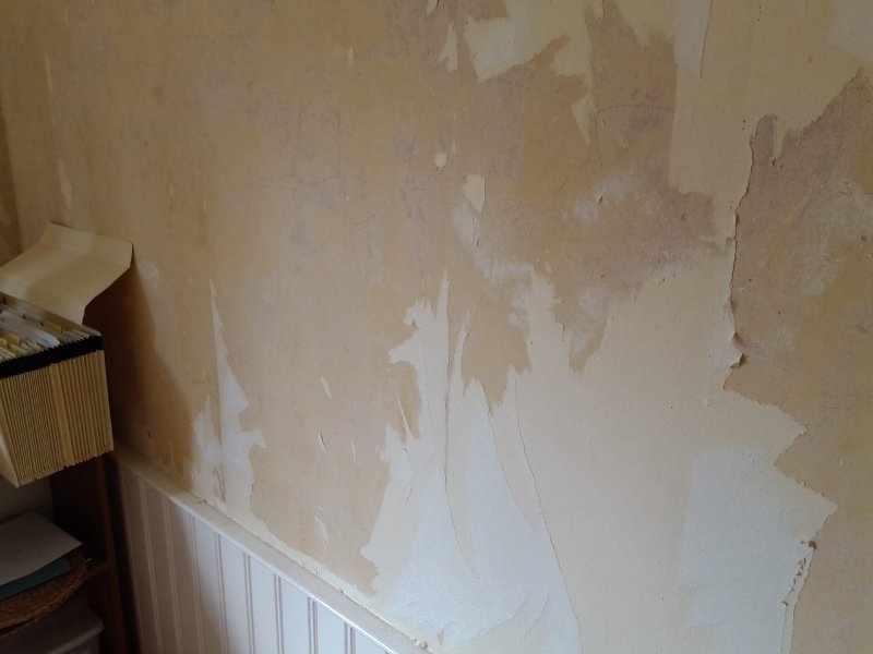 How To Smooth Walls After Removing Wallpaper at Connie Wiles blog