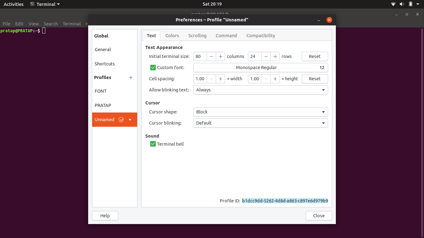 Change terminal font size programatically Ask Ubuntu