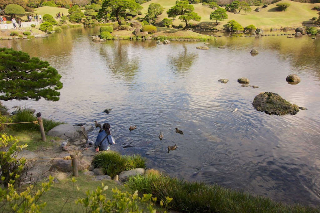 post processing How can I fix the overlybright background in my landscape photo