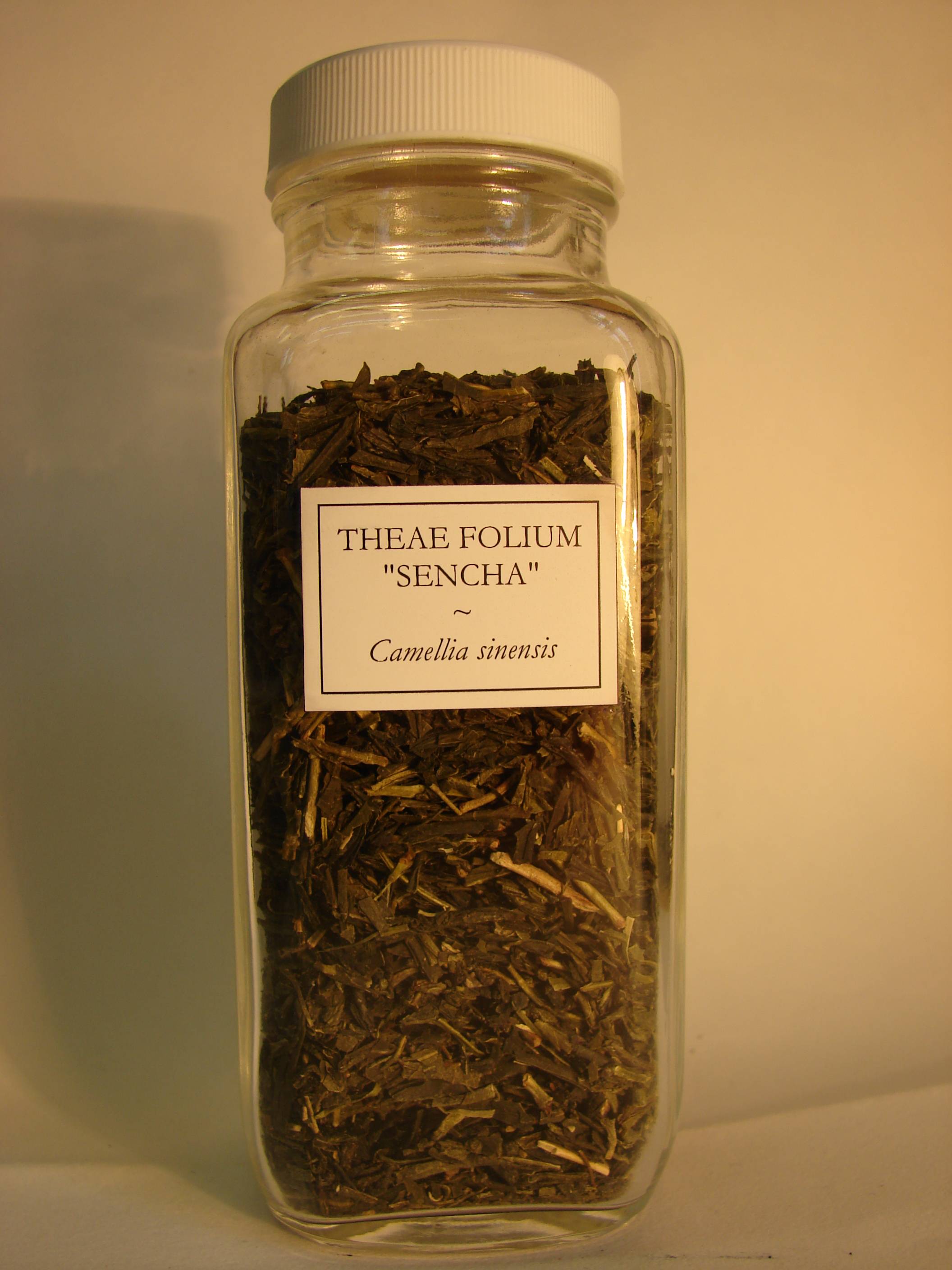 botany What is "theae folium"? Biology Stack Exchange