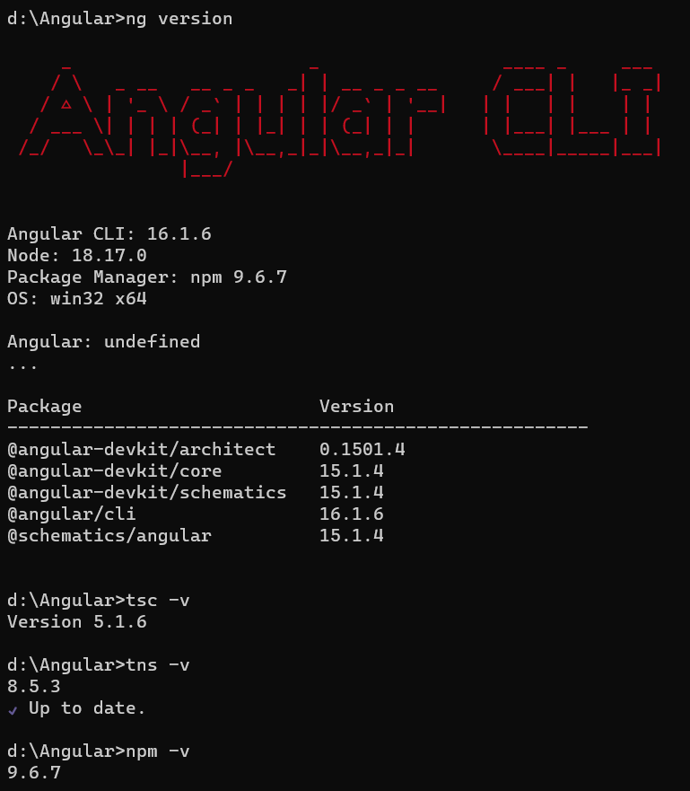 Custom path to install NPM ,Angular and TypeScript in Windows Stack
