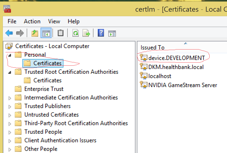 iis - Cannot find X.509 certificate StoreName 'My', StoreLocation