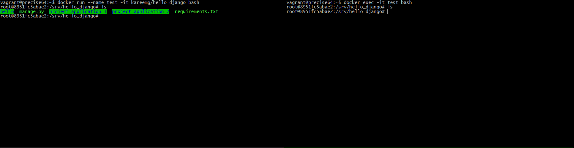 django 'docker exec' environment different from 'docker run'/'docker