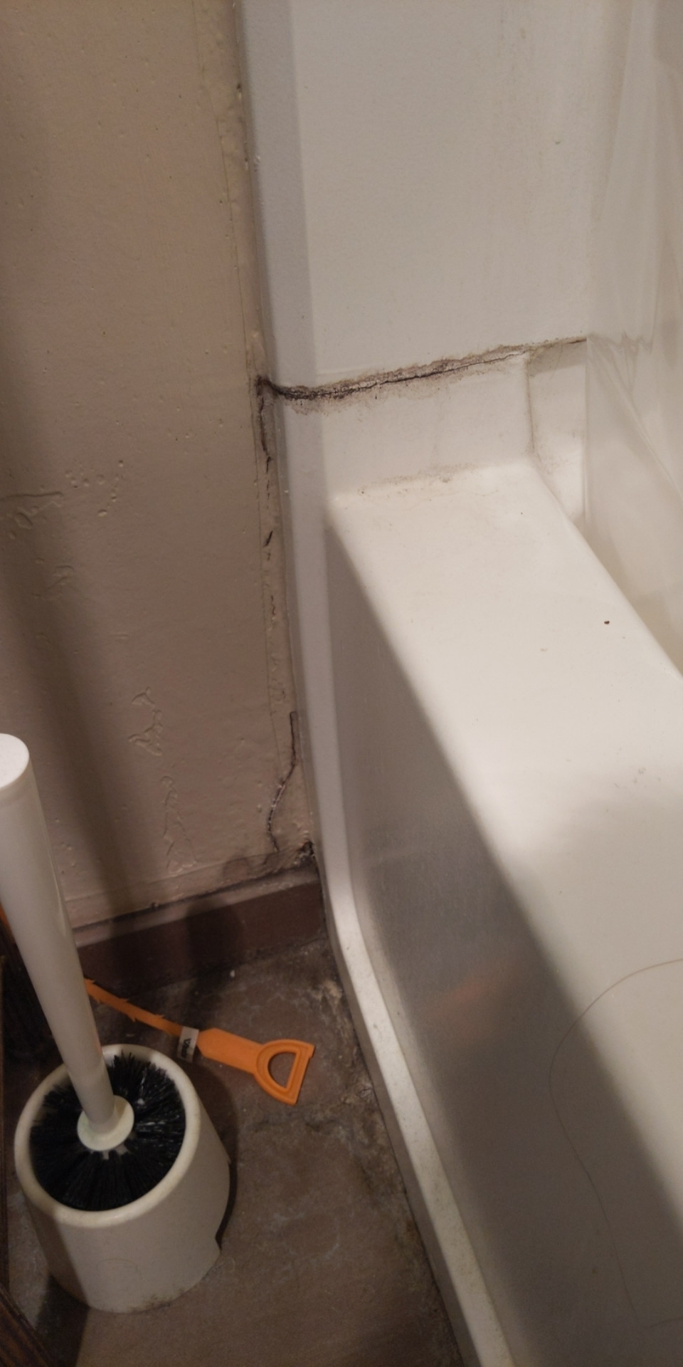 bathroom are those mold? and are these dangerous? Home Improvement