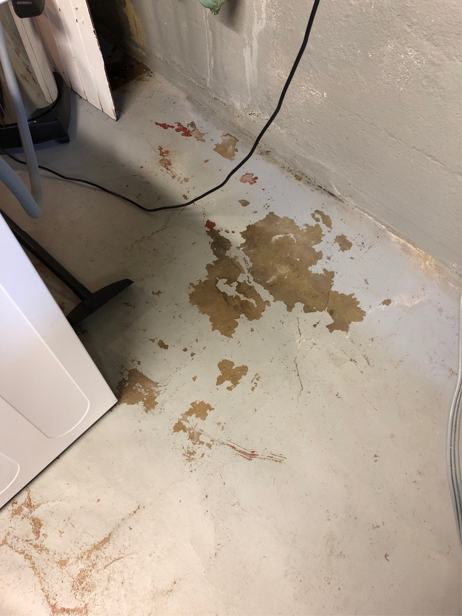 plumbing Avoiding mold after machine backup Home Improvement Stack
