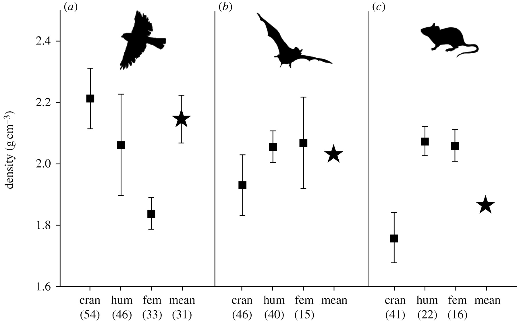 Mammal body density Biology Stack Exchange