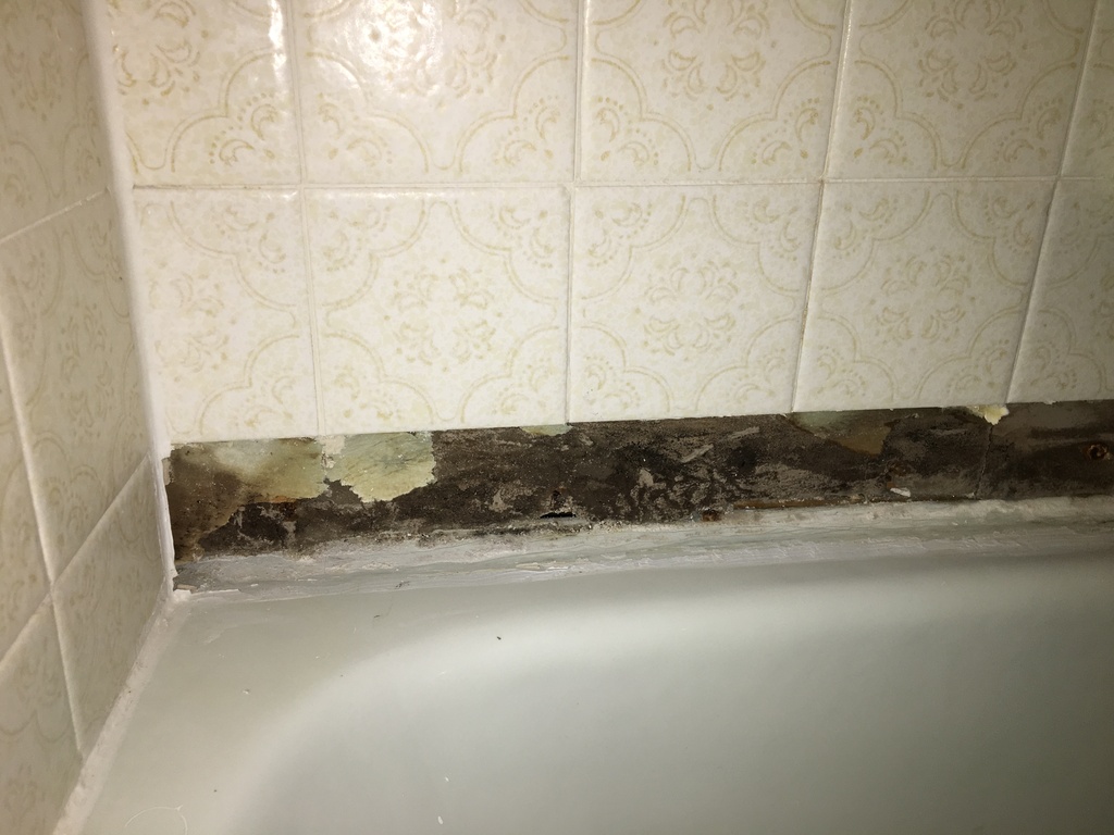 How To Repair Bathroom Wall Water Damage at Thomas Auld blog