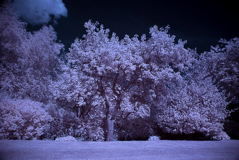 What should I look for in an infrared filter? Photography Stack Exchange