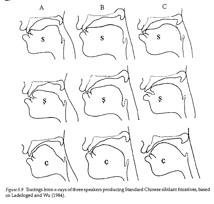 zh sound with a flat tongue? Linguistics Stack Exchange