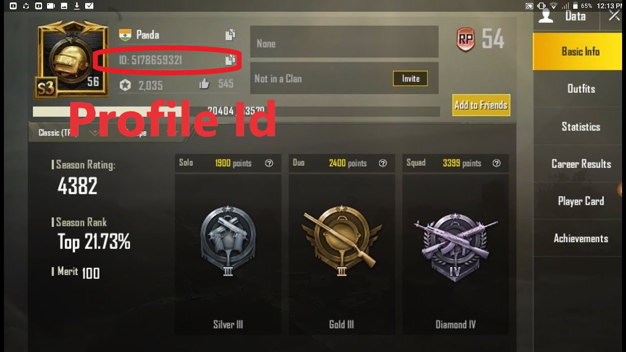 node.js How to get PUBG user account info by player id through API(06)