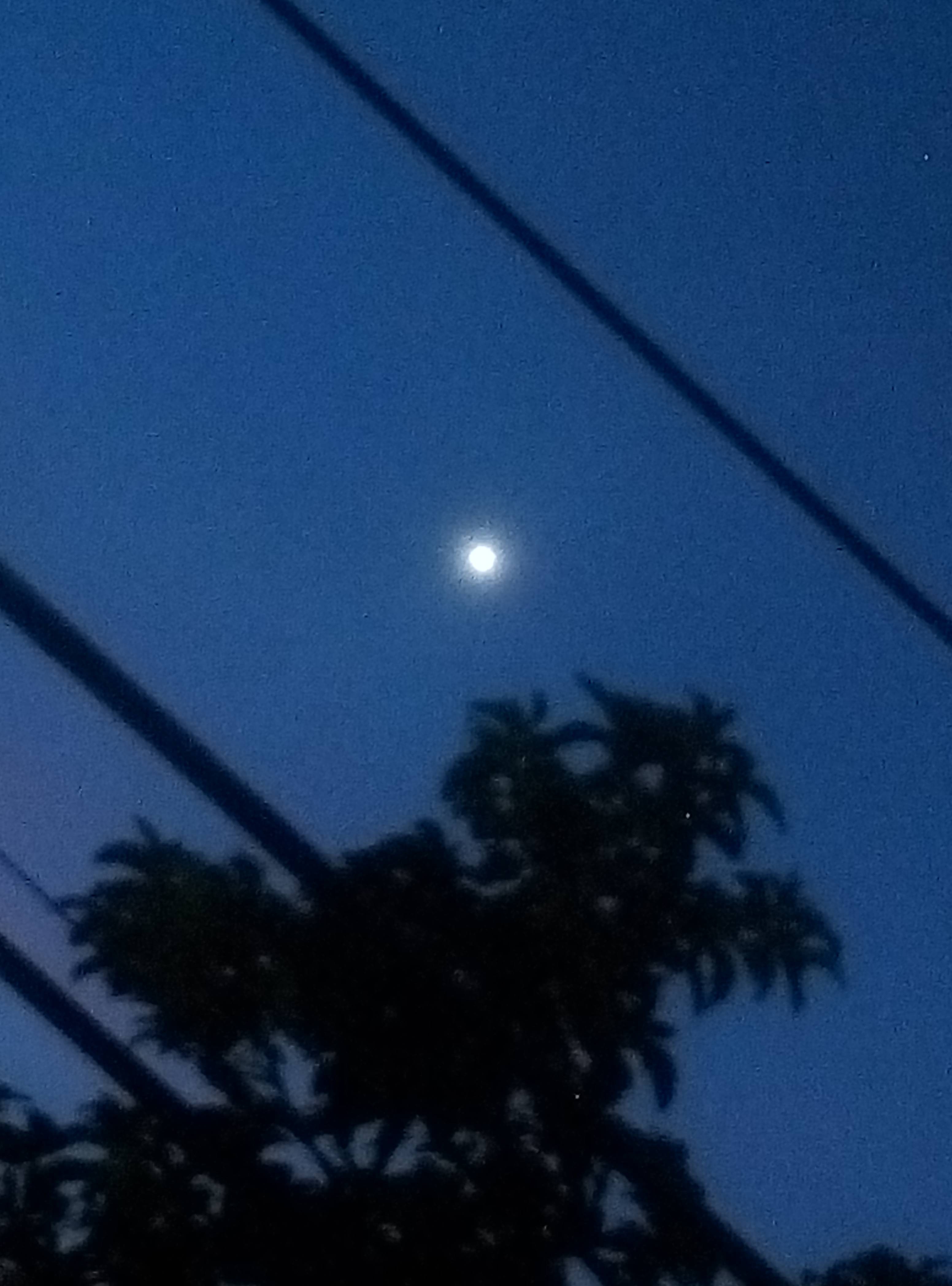 amateur observing very bright white star before sunrise Astronomy