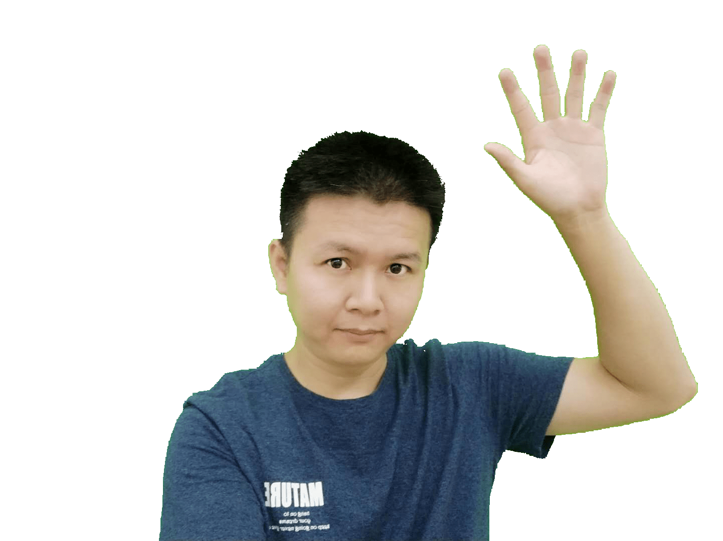 A beginner's guide How to remove background green screen with no