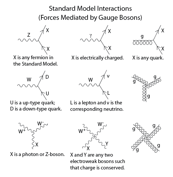 standard model Can a neutrino act as a virtual particle