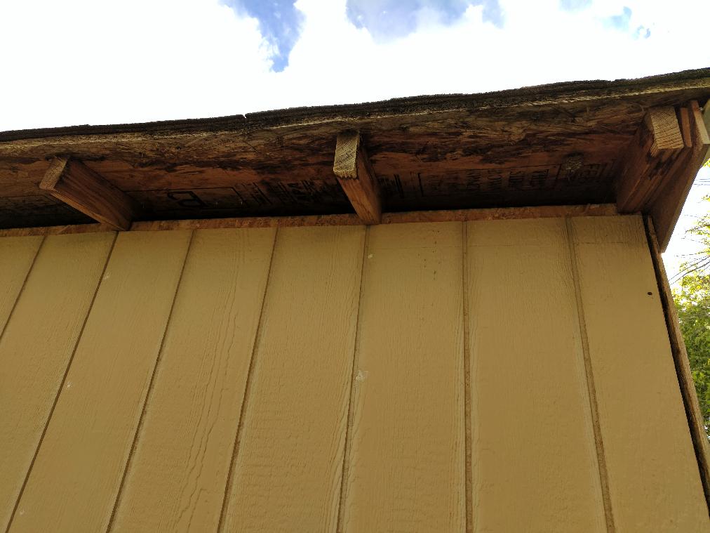 Shed with gaps at the top, wasp nest come back every year Love