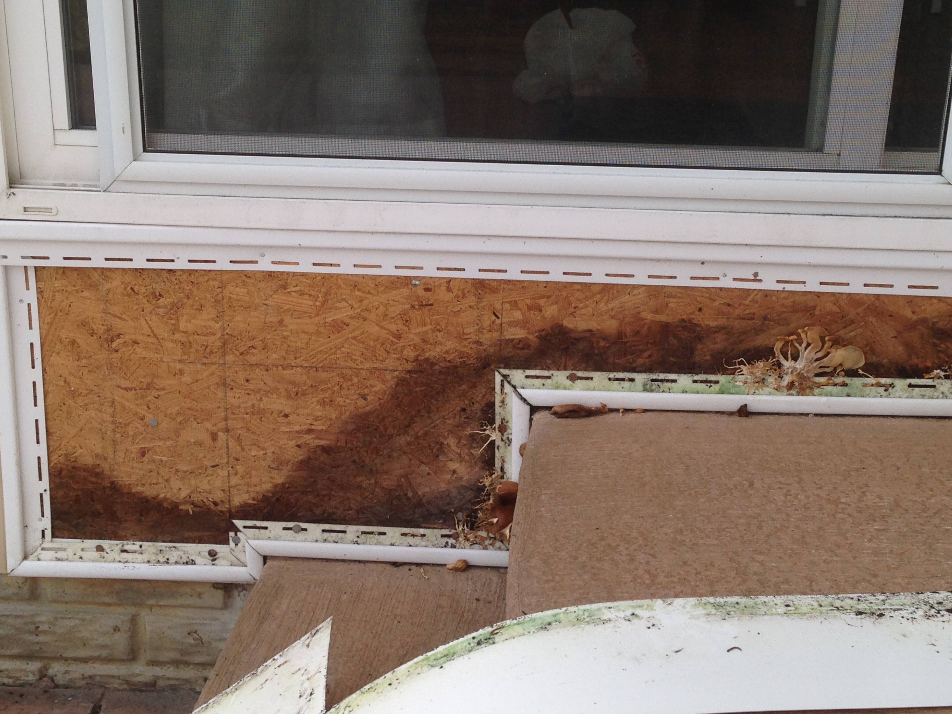 How to waterproof wall sheathing along concrete steps Love & Improve Life