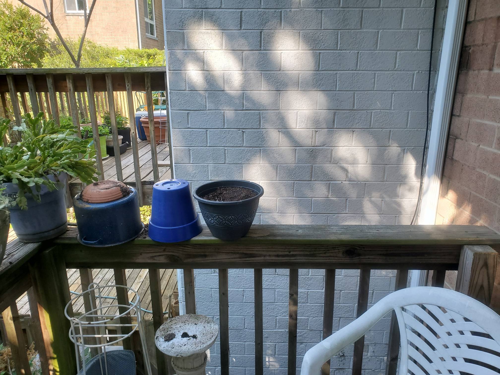 Deck Rail Fencing For Cat Love & Improve Life
