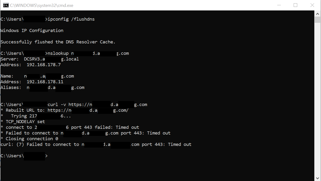 domain name system - Client on network not resolving local records but