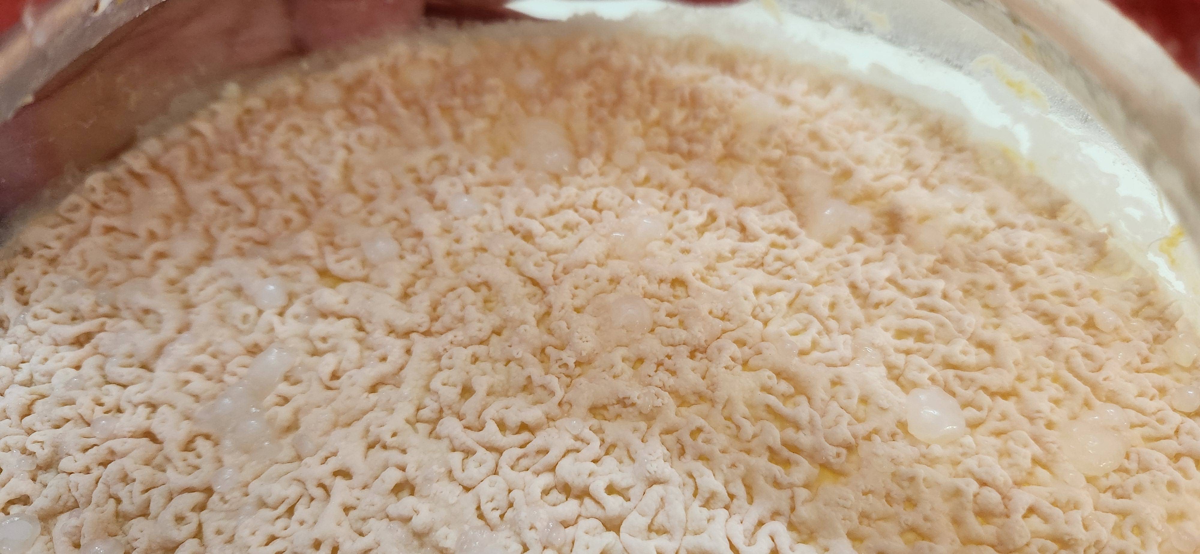 White Mold on Apple Cider Vinegar, Salvagable? Seasoned Advice