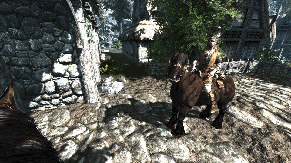 the elder scrolls 5 skyrim Can I buy a horse for my follower? Arqade