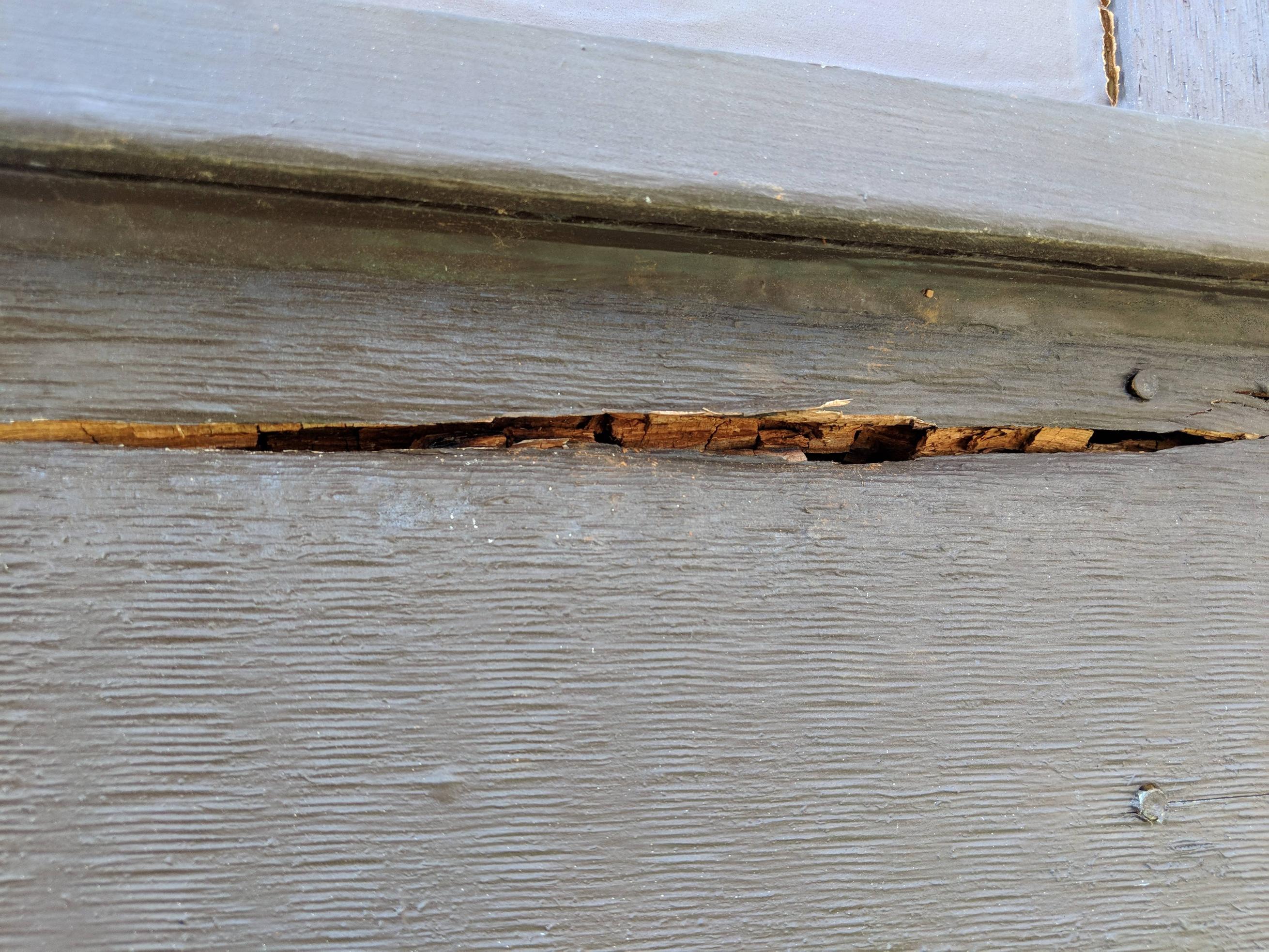 repair Dry Rot (?) in Exterior Trim, patch or replace? Home