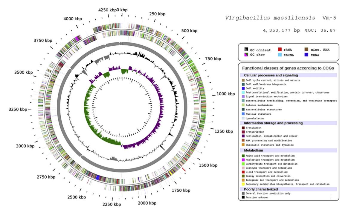 sequence annotation Does anyone know what tools are used to construct