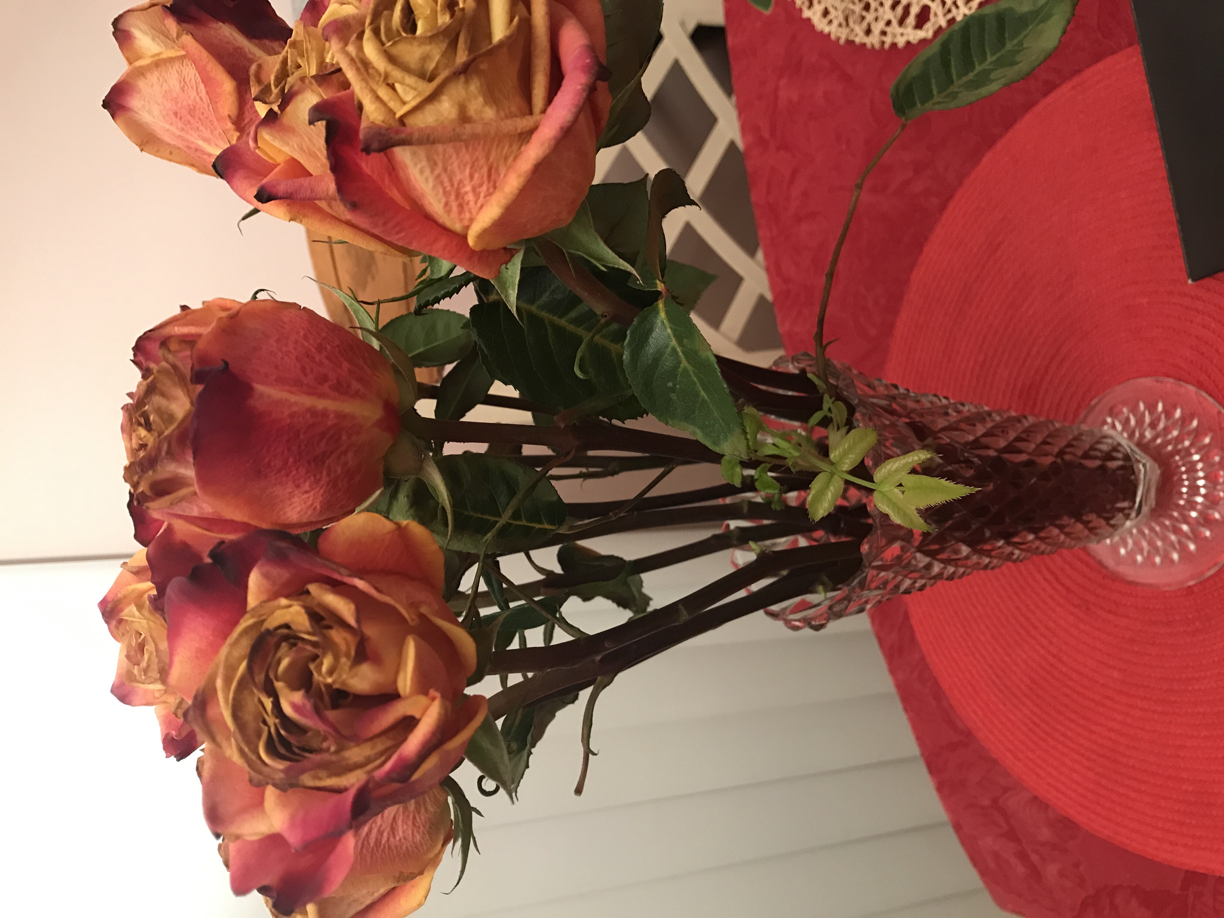 My bouquet of roses has green leafs. Can I plant them? Gardening