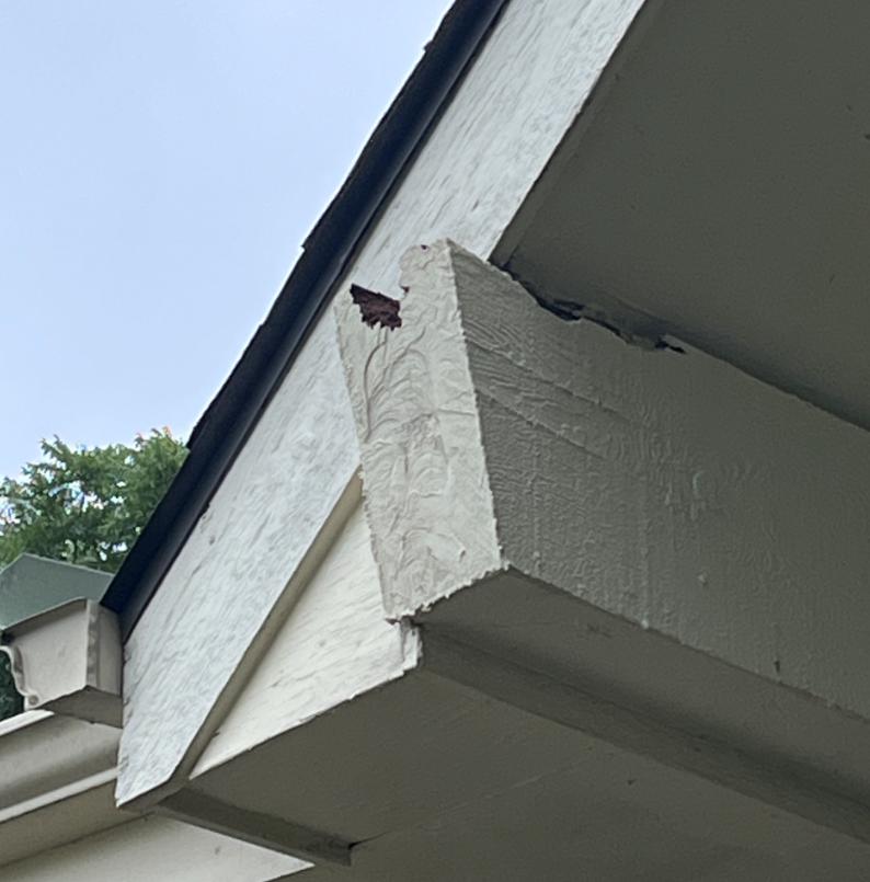 repair How would you go about repairing the wood rot on this beam