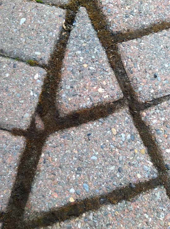 What sand do I use to resecure pavers Love & Improve Life
